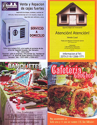 Pagina 31